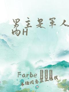 男主是军人的肉肉H