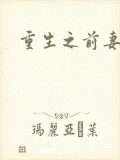 重生之前妻之惑