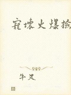 宠坏火爆检察官