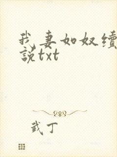 我妻如奴续写小说txt