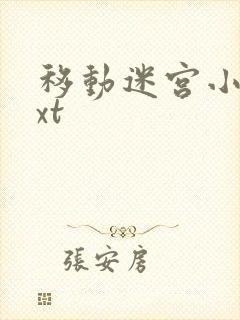 移动迷宫小说txt