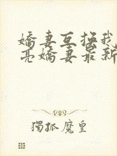 娇妻互换我的漂亮娇妻最新章节