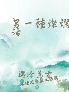 另一种灿烂的生活