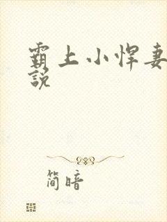 霸上小悍妻 小说