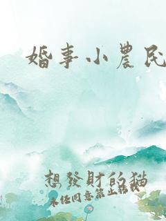 婚事小农民