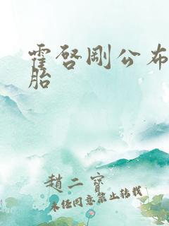 霍启刚公布龙凤胎