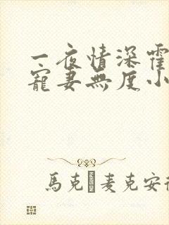 一夜情深霍先生宠妻无度小说免费阅读