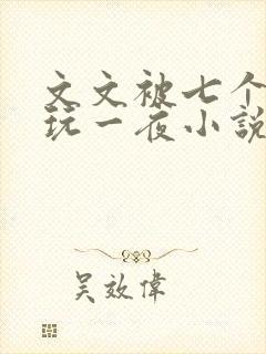 文文被七个男人玩一夜小说
