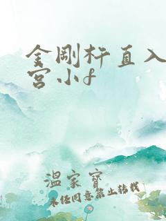 金刚杵直入莲花宫小f