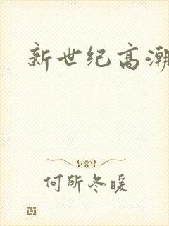 新世纪高潮战队