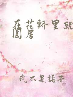 在花轿里就开始圆房