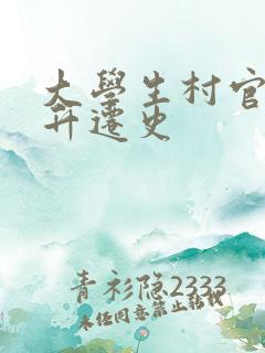 大学生村官艳遇升迁史