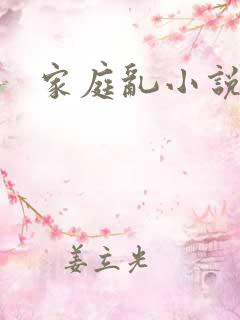 家庭乱小说