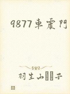 9877车震门