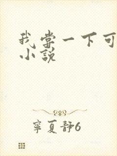 我尝一下可以吗小说