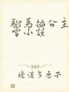 驸马插公主恋战雪小说