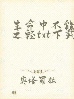 生命中不能承受之轻txt下载