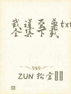 武道至尊txt全集下载