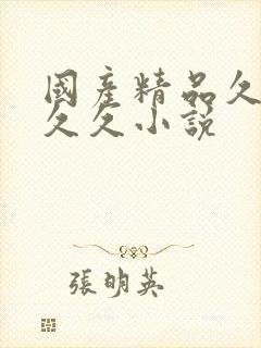 国产精品久久久久久小说