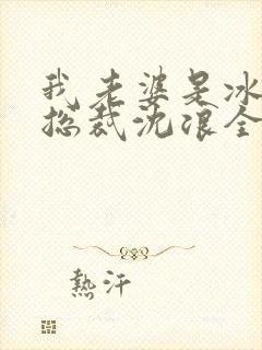 我老婆是冰山女总裁沈浪全集