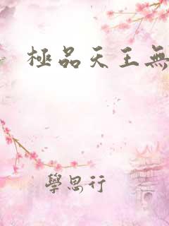 极品天王无弹窗