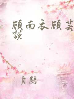 顾南衣顾芸沐小说
