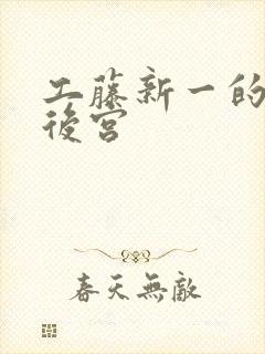 工藤新一的日本后宫