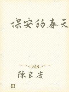 保安的春天