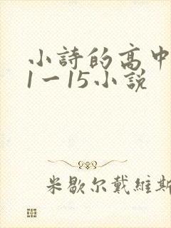 小诗的高中日记1一15小说