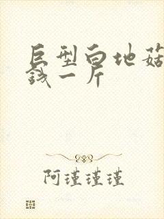 巨型白地菇多少钱一斤