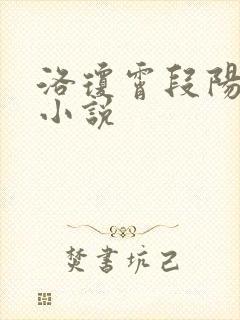 洛琼霄段阳澍的小说