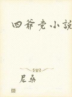 四爷党小说