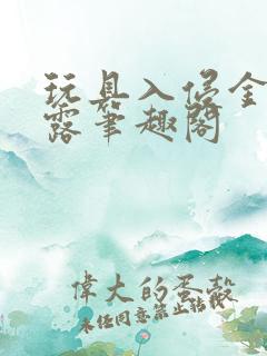 玩具入侵金银花露笔趣阁