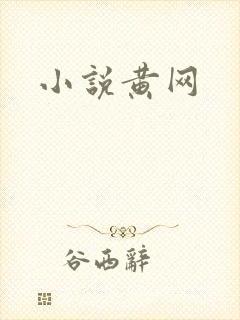 小说黄网
