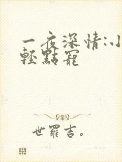 一夜深情:小叔轻点宠