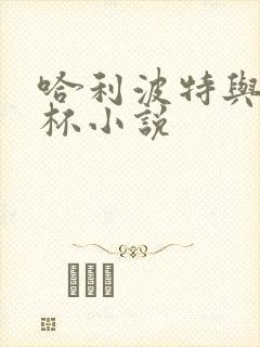 哈利波特与火焰杯小说