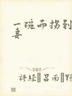 一碗面拐到美艳妻