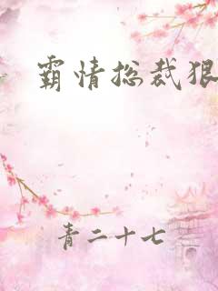 霸情总裁狠狠爱