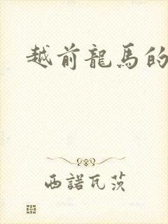 越前龙马的小说