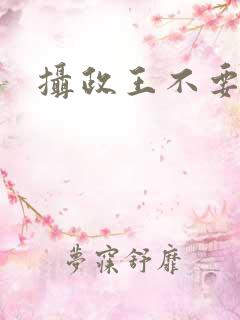 摄政王不要