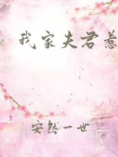 我家夫君惹不起