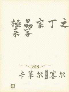 极品家丁之远方来客