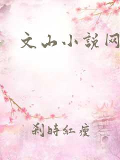 文山小说网