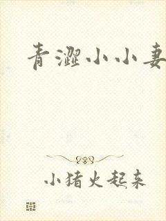 青涩小小妻