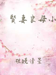贤妻良母小说