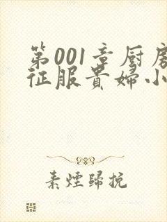 第001章厨房征服贵妇小说