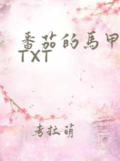 番茄的马甲小说TXT