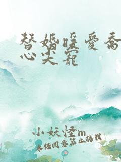 替婚暖爱乔少的心尖宠