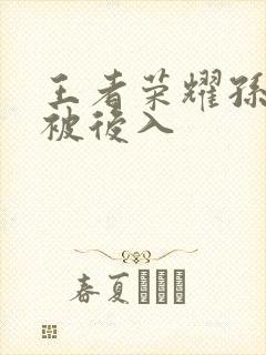 王者荣耀孙尚香被后入