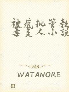 被疯批管教的恶毒美人小说